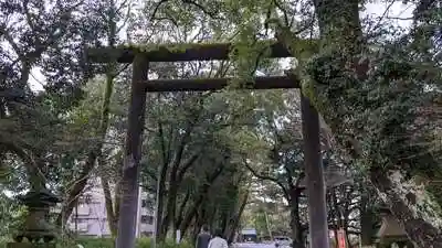 山内神社の鳥居