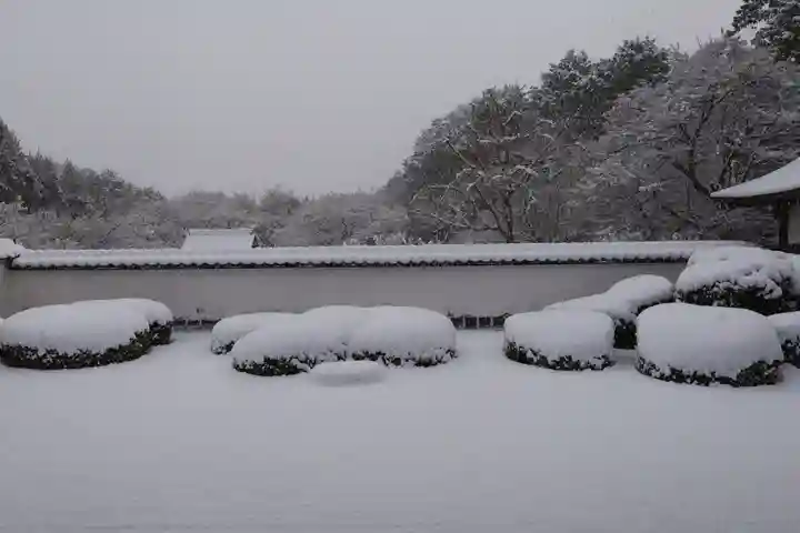 正伝護国禅寺(正伝寺・正傳寺)(京都府)