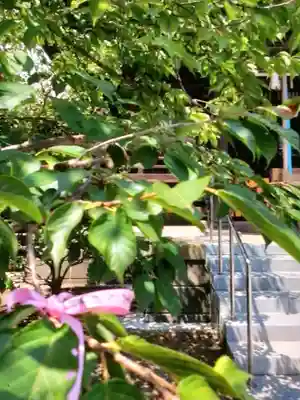 桜神宮(東京都)