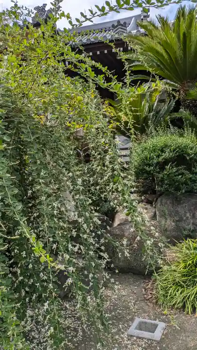 浜本山 源光寺(大阪府)