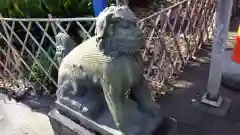 五條天神社の狛犬