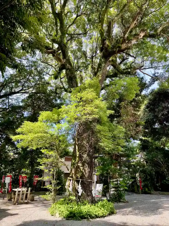 八雲神社(鎌倉・大町)(神奈川県)