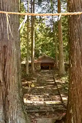 三所神社（桑の川の大杉）(高知県)