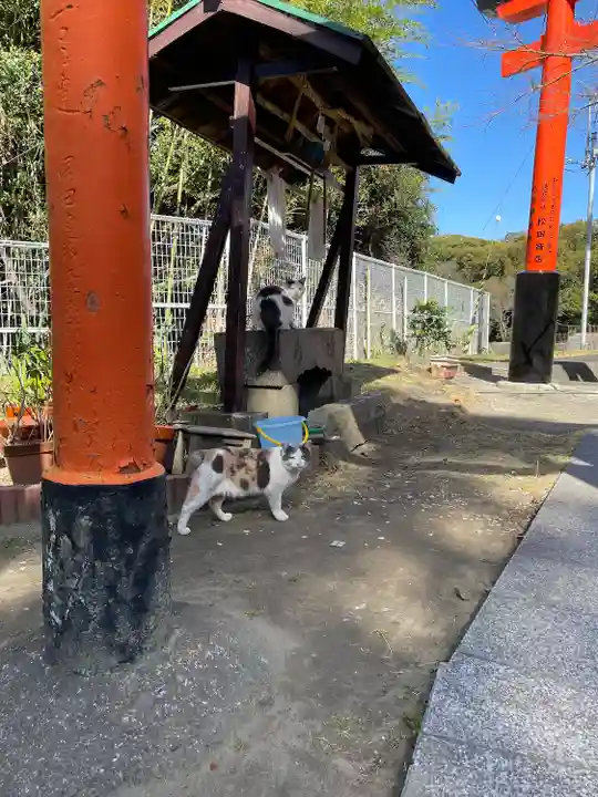 奥山稲荷社(和歌山県)