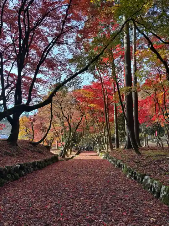 鶏足寺(滋賀県)