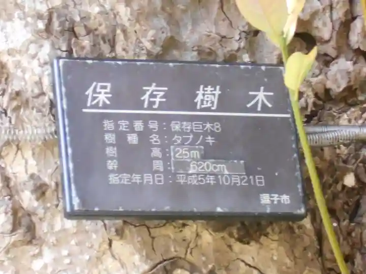 山の根熊野神社のその他建物