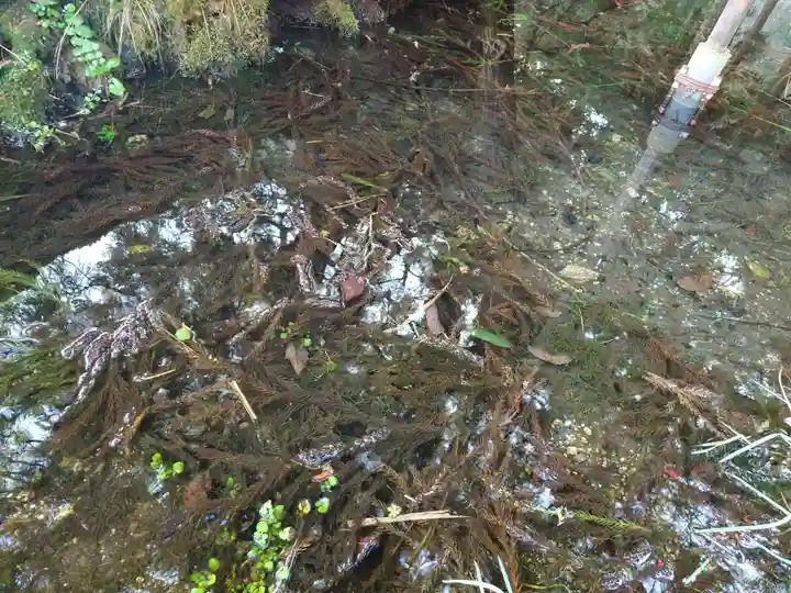 一本杉神社(島根県)
