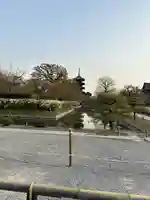 東寺(教王護国寺)の景色