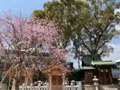 綱敷天満宮の庭園