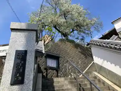 蓮法寺の{uncategorized: "未分類", other: "その他", undefined: "問題あり", building: "その他建物", grave: "お墓", sacred_gate: "鳥居", guardian: "狛犬", statue: "像", buddha: "仏像", history: "歴史", nature: "自然", garden: "庭園", animal: "動物", pagoda: "塔", temizu: "手水舎", mountain_gate: "山門・神門", sanctuary: "本殿・本堂", subordinate: "末社・摂社", art: "芸術", scenery: "景色", jizo: "地蔵", ema: "絵馬", goshuin: "御朱印", omikuji: "おみくじ", items: "授与品その他", amulet: "お守り", goshuincho: "御朱印帳", eats: "食事", festival: "お祭り", votive_dance: "神楽", shichigosan: "七五三参", wedding: "結婚式", experience: "体験その他", initially: "初詣", around: "周辺", anti_infection: "感染症対策"}