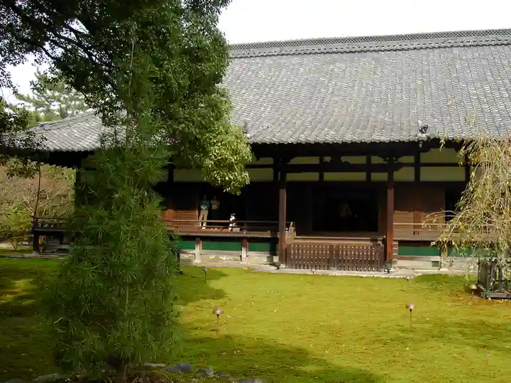 青蓮院門跡の本殿・本堂