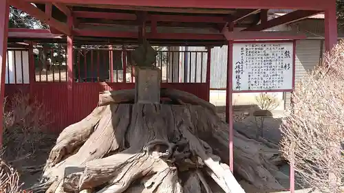 八坂神社の歴史