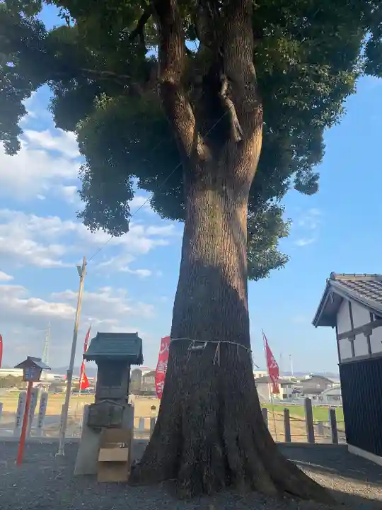 玉田神社の自然