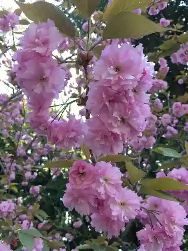 播州清水寺の自然