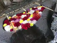 千歳神社の手水