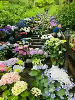 長谷寺(奈良県)