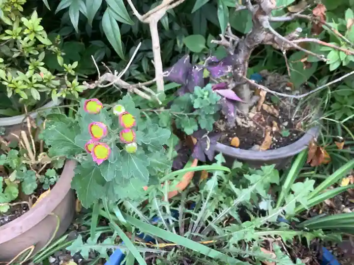 三輪神社の自然