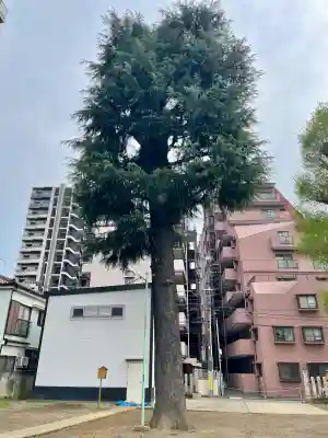 出世稲荷神社の{uncategorized: "未分類", other: "その他", undefined: "問題あり", building: "その他建物", grave: "お墓", sacred_gate: "鳥居", guardian: "狛犬", statue: "像", buddha: "仏像", history: "歴史", nature: "自然", garden: "庭園", animal: "動物", pagoda: "塔", temizu: "手水舎", mountain_gate: "山門・神門", sanctuary: "本殿・本堂", subordinate: "末社・摂社", art: "芸術", scenery: "景色", jizo: "地蔵", ema: "絵馬", goshuin: "御朱印", omikuji: "おみくじ", items: "授与品その他", amulet: "お守り", goshuincho: "御朱印帳", eats: "食事", festival: "お祭り", votive_dance: "神楽", shichigosan: "七五三参", wedding: "結婚式", experience: "体験その他", initially: "初詣", around: "周辺", anti_infection: "感染症対策"}