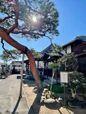 海蔵寺(東京都)