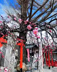 瀧宮神社(広島県)(2025年03月08日(土) 05時21分58秒投稿)