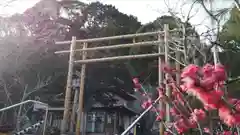 高家神社(千葉県)