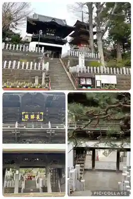 布施弁天 東海寺(千葉県)