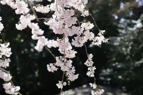 水無瀬神宮(大阪府)