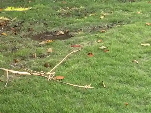 大船観音寺(神奈川県)