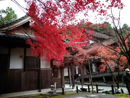 西明寺の建物その他