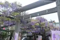 國領神社の鳥居