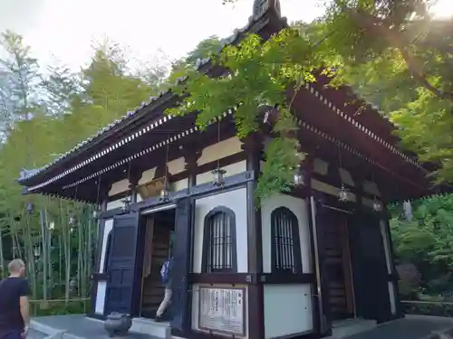 長谷寺(神奈川県)