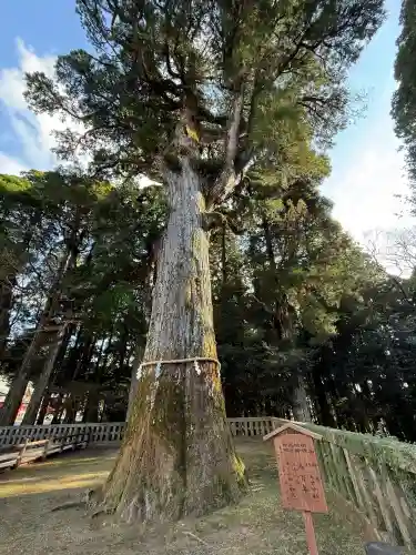 霧島神宮(鹿児島県)