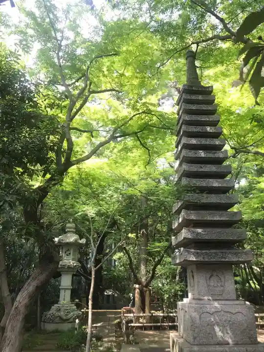 大正寺の庭園