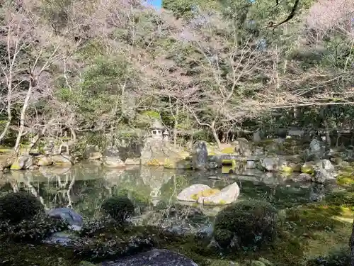 蓮華寺（洛北蓮華寺）の庭園