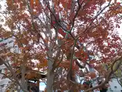 日吉神社(福井県)