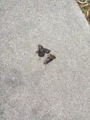 本願寺(栃木県)