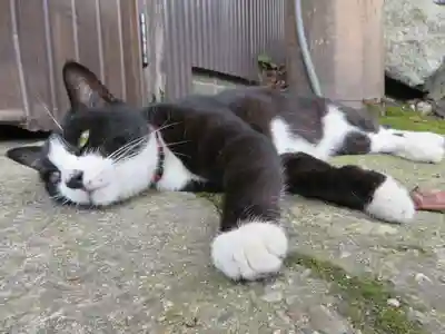 智恩寺(京都府)