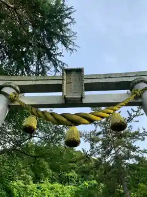 護国寺の{uncategorized: "未分類", other: "その他", undefined: "問題あり", building: "その他建物", grave: "お墓", sacred_gate: "鳥居", guardian: "狛犬", statue: "像", buddha: "仏像", history: "歴史", nature: "自然", garden: "庭園", animal: "動物", pagoda: "塔", temizu: "手水舎", mountain_gate: "山門・神門", sanctuary: "本殿・本堂", subordinate: "末社・摂社", art: "芸術", scenery: "景色", jizo: "地蔵", ema: "絵馬", goshuin: "御朱印", omikuji: "おみくじ", items: "授与品その他", amulet: "お守り", goshuincho: "御朱印帳", eats: "食事", festival: "お祭り", votive_dance: "神楽", shichigosan: "七五三参", wedding: "結婚式", experience: "体験その他", initially: "初詣", around: "周辺", anti_infection: "感染症対策"}