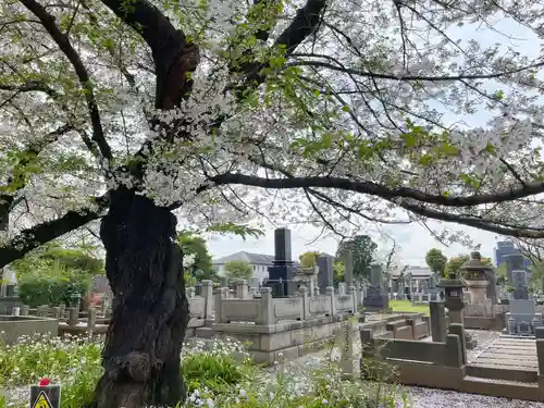 本妙院(東京都)