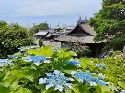 性海寺のその他建物