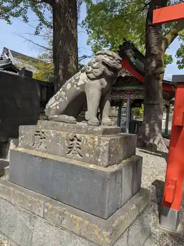 深志神社の狛犬