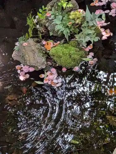 神明氷川神社(東京都)