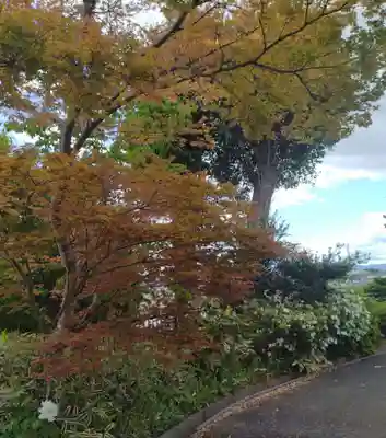 弘誓寺(宮城県)