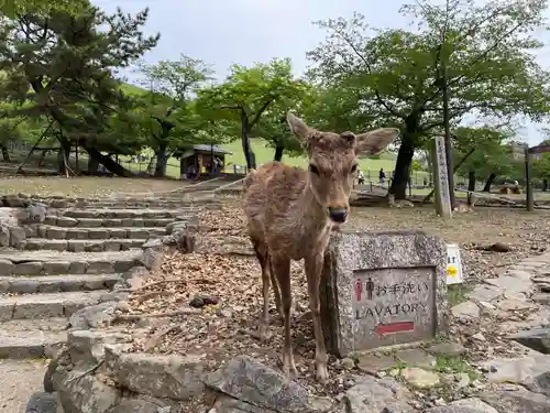 東大寺(奈良県)