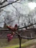 厚別神社(北海道)