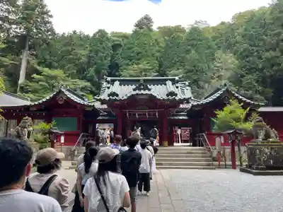 箱根神社の本殿・本堂
