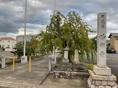 妙禅寺(愛知県)