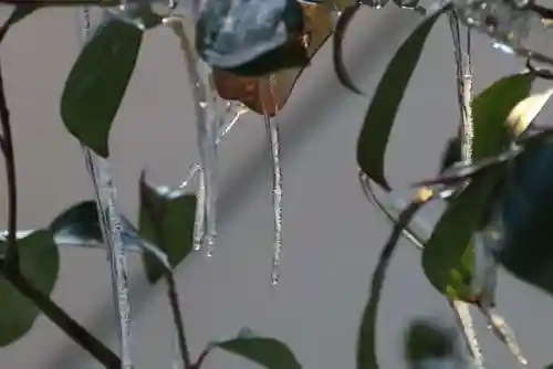 大鏑神社の自然