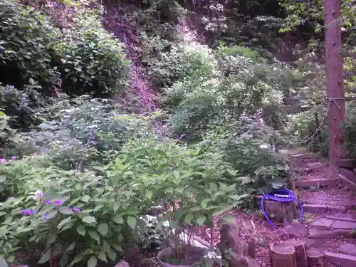 御霊神社の自然