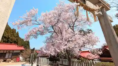 金蛇水神社(宮城県)